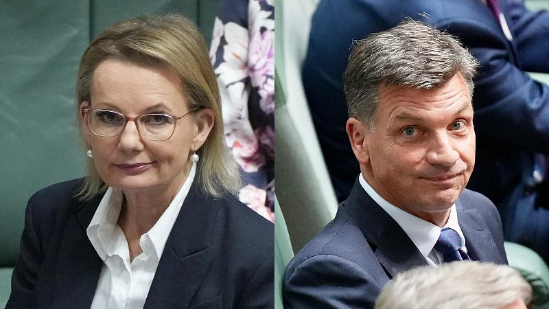 上任仅9个月就下台!澳洲自由党首位女党魁遭逼宫,Taylor以34-17胜出(组图) - 3