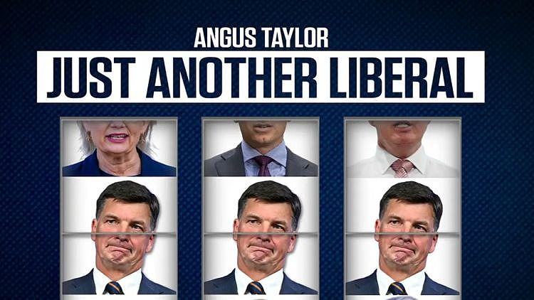 34比17！Angus Taylor夺下自由党党魁宝座，工党火速发布广告开撕（图） - 1