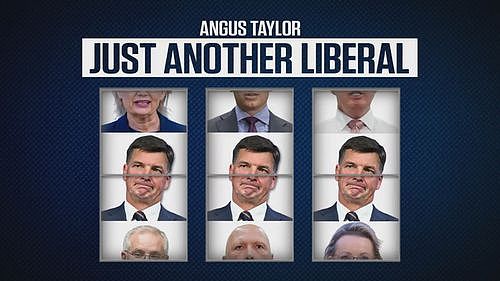 34比17！Angus Taylor夺下自由党党魁宝座，工党火速发布广告开撕（图） - 2