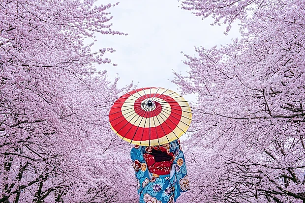 澳元兑人民币汇率达5年新高！专家：现在赴华旅游性价比极高（组图） - 1