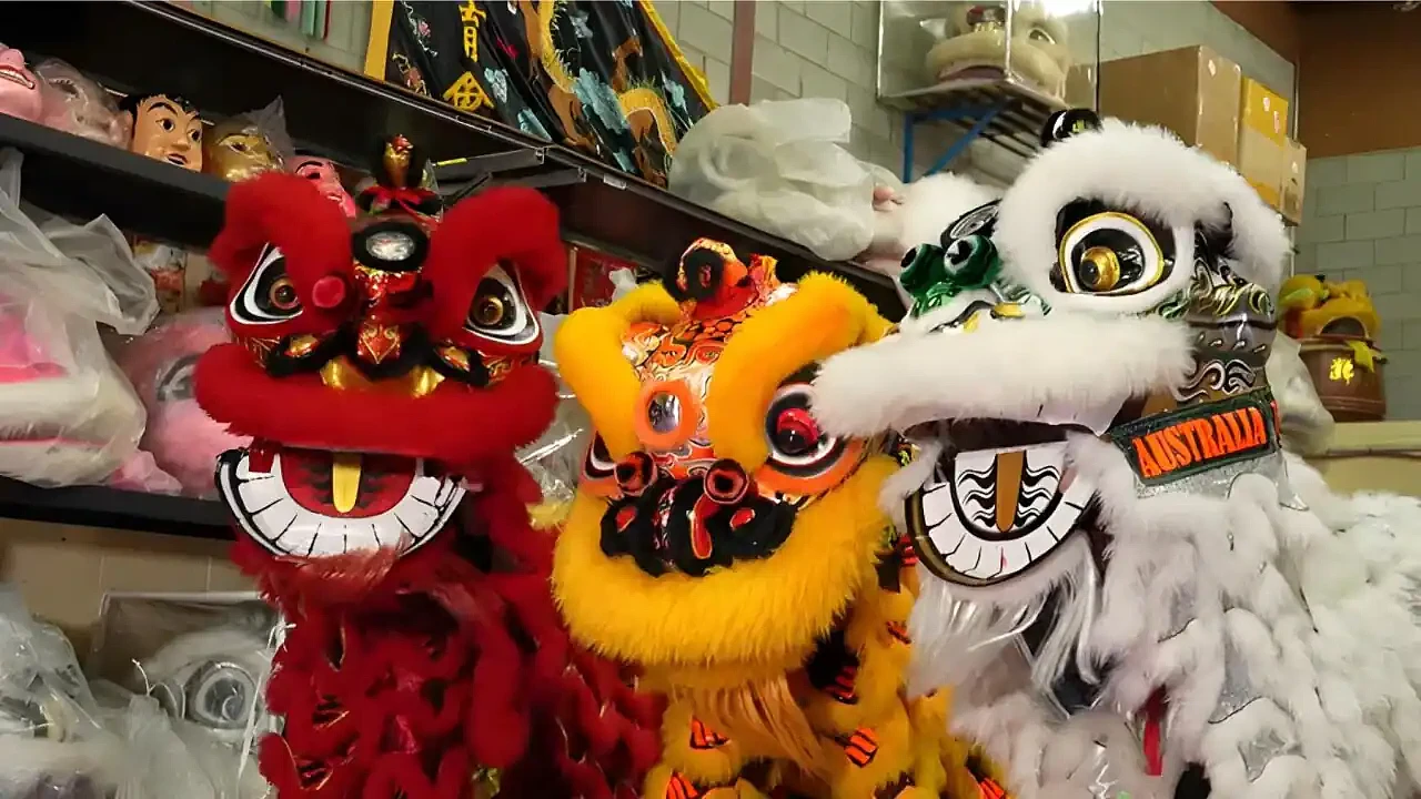 备战马年！布里斯班舞狮队苦练绝活，6岁华童惊艳亮相，与留学生共传文化（图） - 1