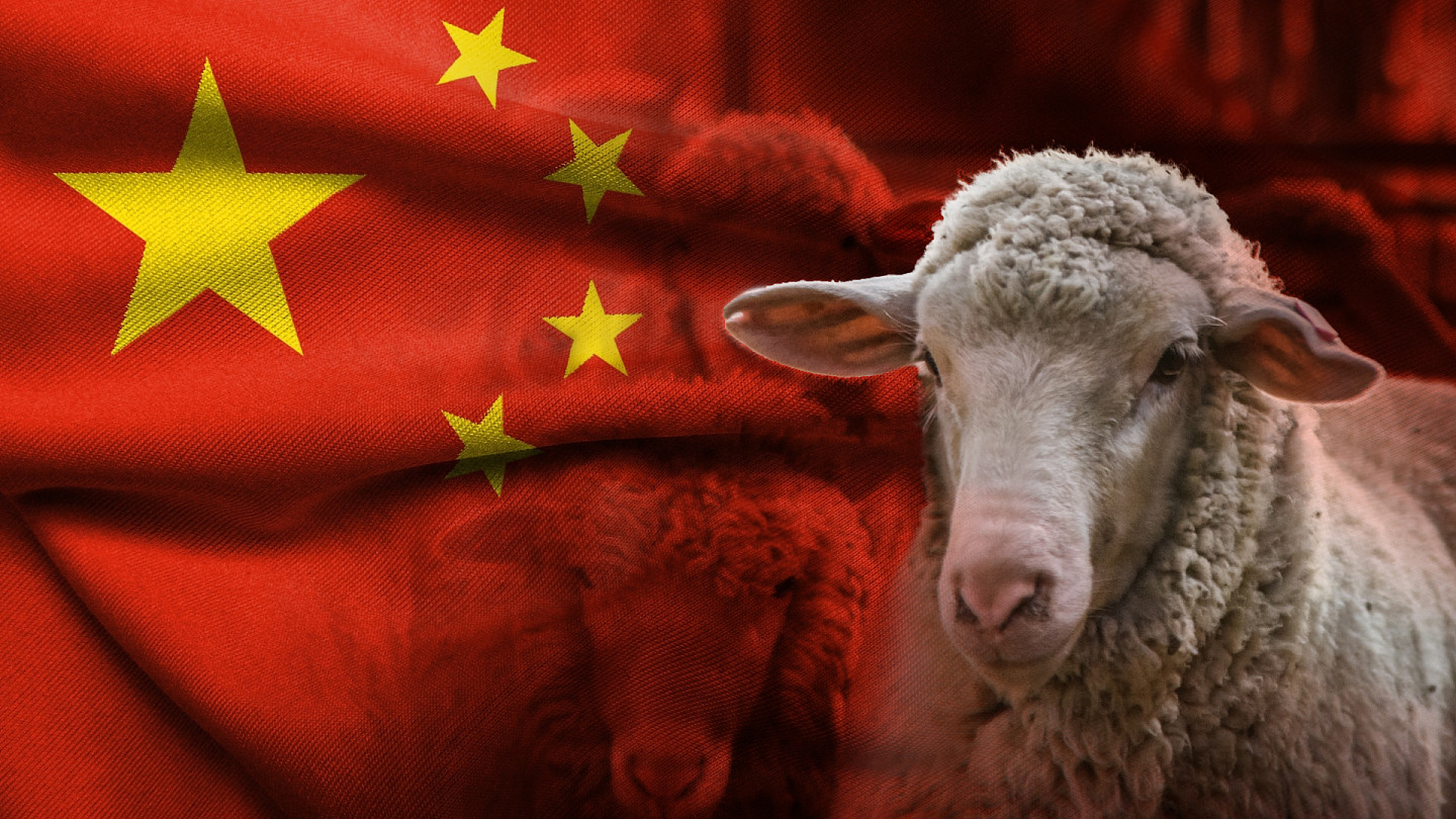 澳洲羊毛价格飙至2019年来最高！中国买家扫货近九成，市场首度为春节停摆（组图） - 1