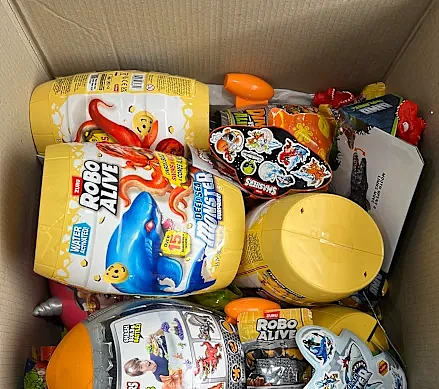 澳洲爬行动物走私链曝光！$200蜥蜴海外翻50倍，中国留学生沦为走私帮凶（组图） - 4