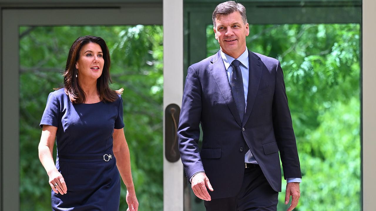 自由党新党魁誓言“不惜一切”削减移民：或推硬核英语考试，炮轰工党税改是“疯了”（组图） - 2