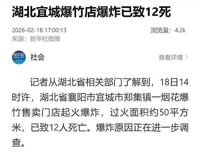 12名遇难者身份确认！湖北烟花店爆炸起火，现场视频曝光  （视频/组图） - 9