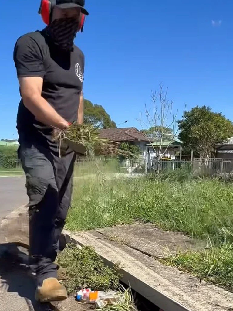 悉尼一地区被议会遗忘多年?网红园丁怒清垃圾,齐腰杂草中竟藏致命毒蛇(组图) - 8
