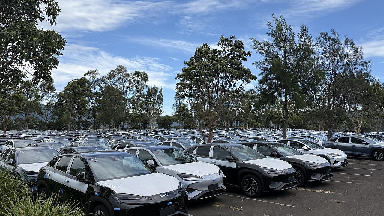 澳媒：BYD囤积数千辆电车，靠碳积分躺赚$3.14亿（组图） - 4