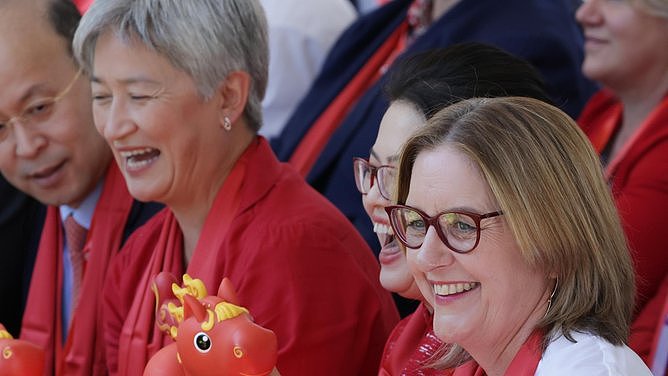 澳洲政要齐聚华人区贺岁，一国党强势崛起冲击两党！华人区成大选风向标（组图） - 4