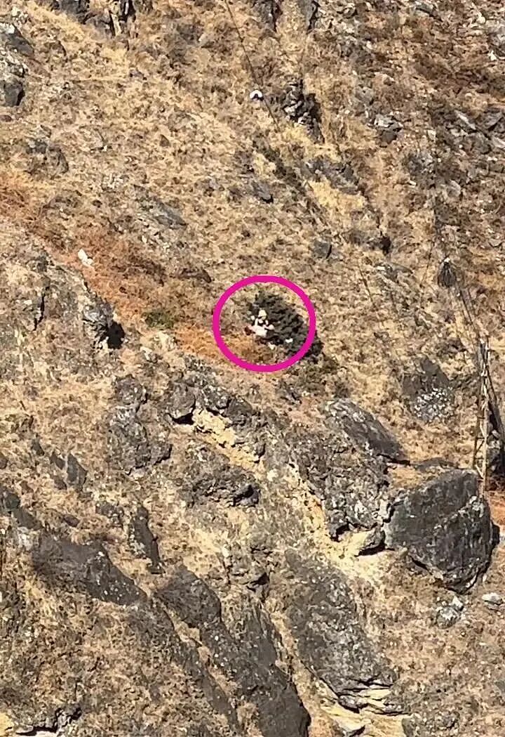 大年初五男童虎跳峡坠崖，不幸遇难！事发于未开放区域（组图） - 1