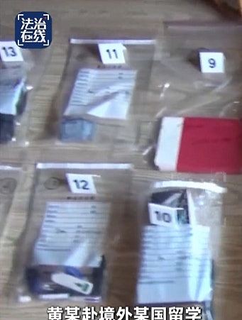 中国女工程师境外落入情网,拉丈夫当间谍17年,获利超130万(组图) - 3