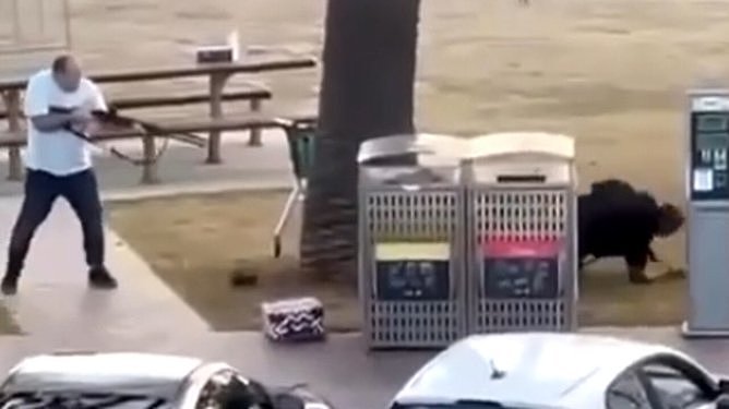 “我不想双手沾满鲜血!” Bondi枪击案英雄店主重返现场,首度公开惊魂心路(视频/组图) - 6