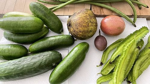 省钱秘诀曝光！昆州夫妇年开销不到$1.5万，每周超市仅$60，轻松环游世界（组图） - 3