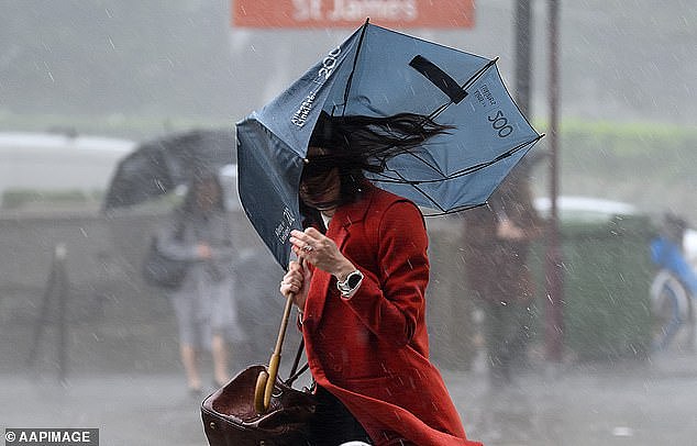 “暴雨炸弹”来袭!新州维州拉响山洪预警,局部降雨量或达130毫米(组图) - 1
