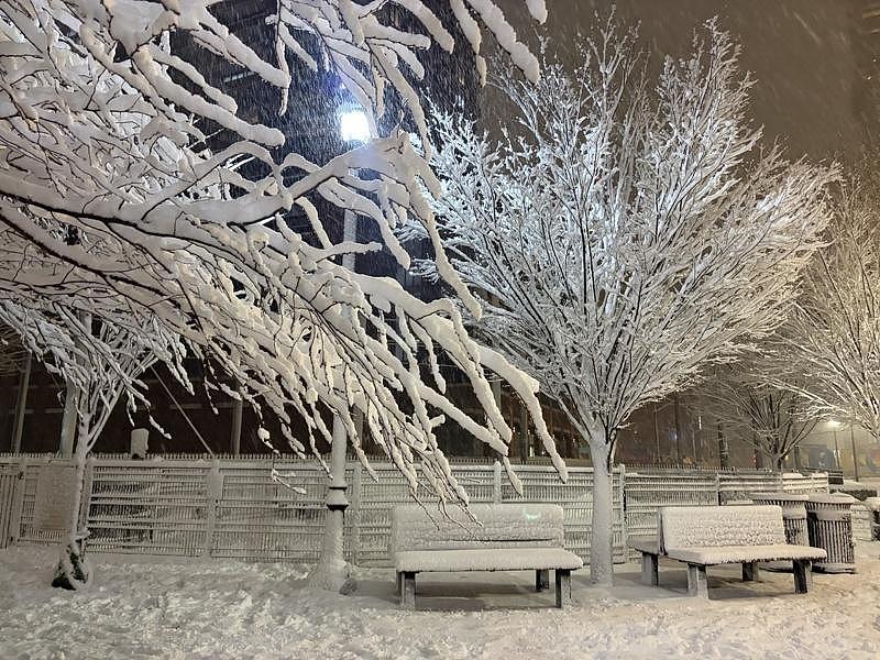 全城瘫痪！纽约遭10年最强暴风雪，州长紧急发布警告（组图） - 2