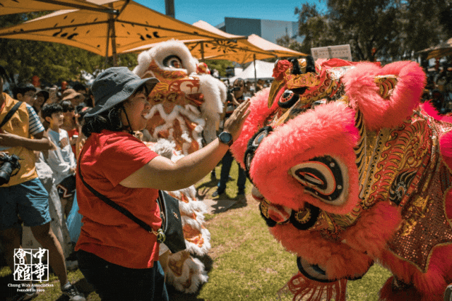 刷屏北桥！数万人共庆马年，珀斯中华新年文化节太震撼了（组图） - 31