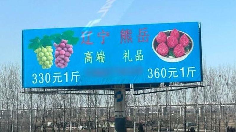 辽宁惊现360元一斤天价草莓，号称牛奶浇灌遭打脸（图） - 1