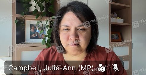 “‘马戏团式’的政治闹剧！”多位联邦工党议员见华媒，怒批一国党分裂澳洲！警告民众：“自由党正步其后尘”（组图） - 4