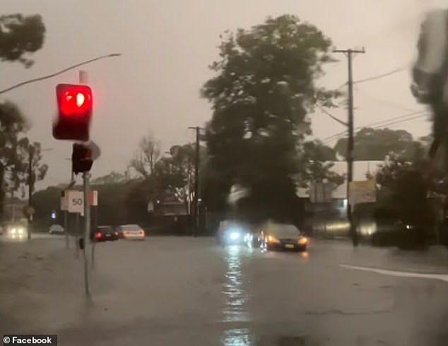 悉尼遭暴雨狂袭，降水近100毫米致多路段瘫痪！气象局发布“威胁生命”预警（组图） - 1
