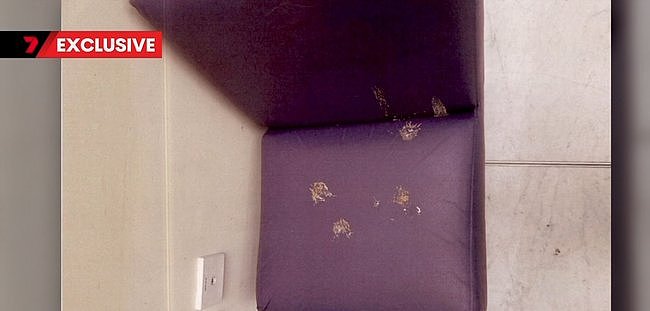 7名病患感染，已致3人死亡！悉尼知名医院爆发霉菌感染，政府道歉（组图） - 4