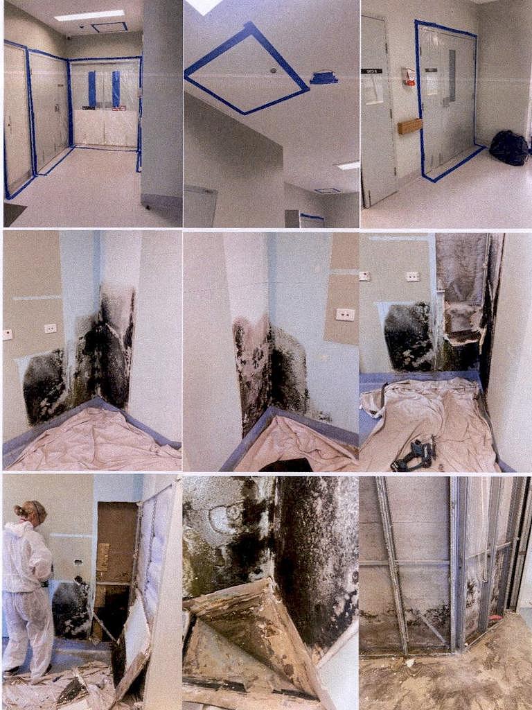 儿童病房蟑螂泛滥、致命霉菌致病患死亡、手术室内惊现昆虫…新州医院乱象引热议！自由党狠批（组图） - 5