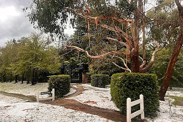 维州发布洪水预警!墨尔本连降暴雨,局部降雨或超150毫米(组图) - 1