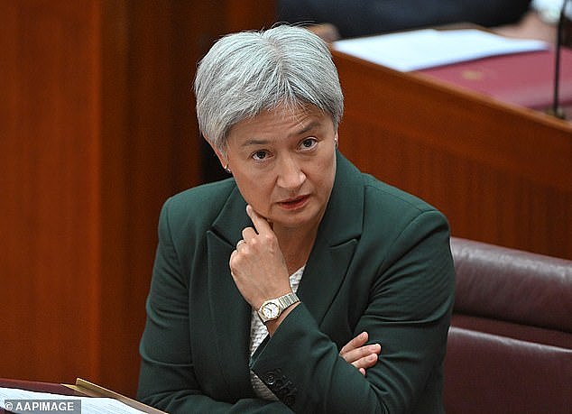 澳参议院爆发激烈争吵！外长黄英贤动议谴责韩森，后者拍手反讽“政治作秀”（组图） - 1