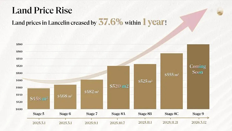 VIMG 2026年感恩晚宴圆满落幕 | Lancelin South总售罄超1000套，高性价比海岸置业引爆全澳市场 - 7