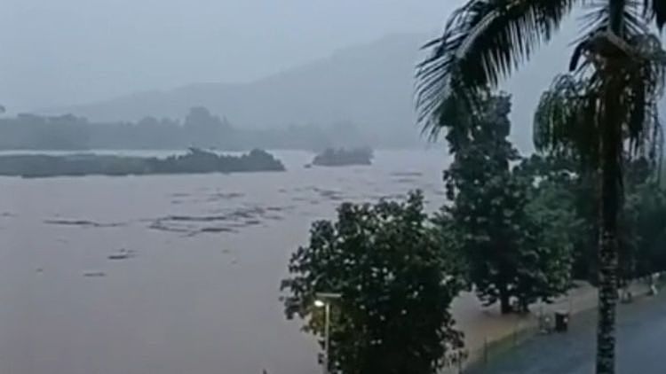 澳超65%受访者支持大雨天居家办公:安全第一且缓解交通压力(组图) - 1