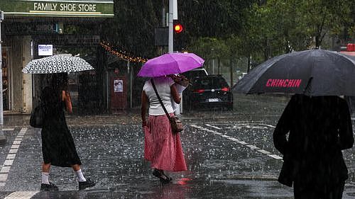 澳超65%受访者支持大雨天居家办公:安全第一且缓解交通压力(组图) - 2