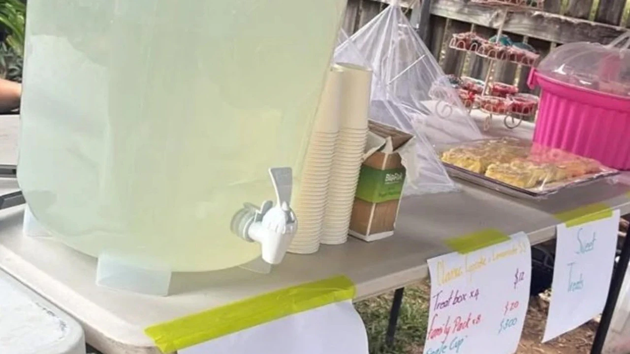 澳洲小男孩摆柠檬水摊遭举报，市议会发警告信，连市长都出面调解（组图） - 2