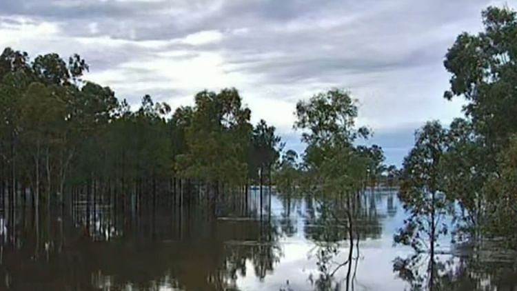 强降雨持续肆虐!昆州多地爆发洪水,气象局紧急提醒:千万开车硬闯(组图) - 1