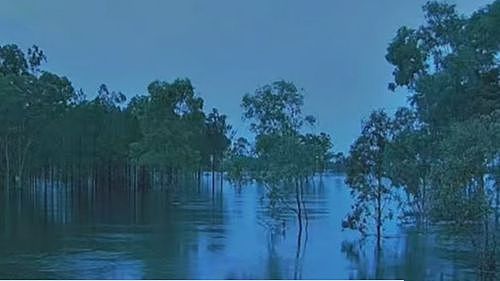 强降雨持续肆虐!昆州多地爆发洪水,气象局紧急提醒:千万开车硬闯(组图) - 3