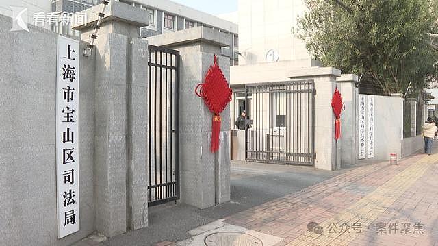 澳洲读研儿子为爱退学!上海母亲砸18万请律师“劝分手”,险些“人财两空”(组图) - 7