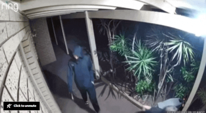 珀斯社区持械团伙出没，居民拍下恐怖画面，“并非第一次光顾”（GIF/组图） - 2