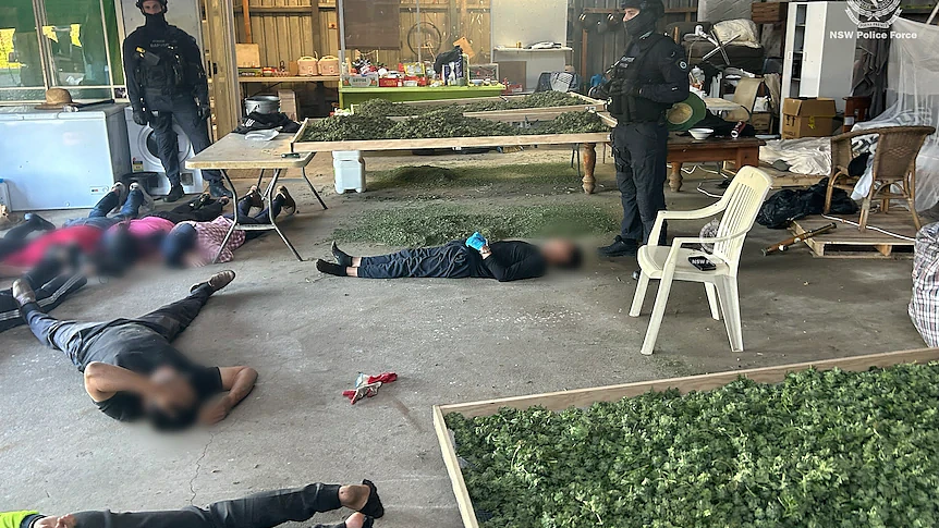 以为找到$350/日的高薪工作，亚裔女竟差点在澳坐牢！涉案$8000万（组图） - 1