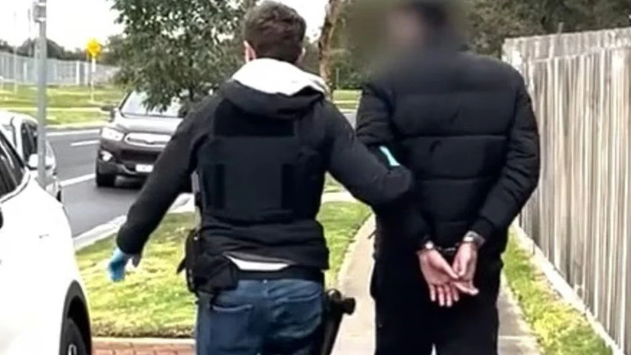 涉案$25万！澳警方捣毁奶粉盗窃团伙，60岁男子车藏大量奶粉被抓包（组图） - 3