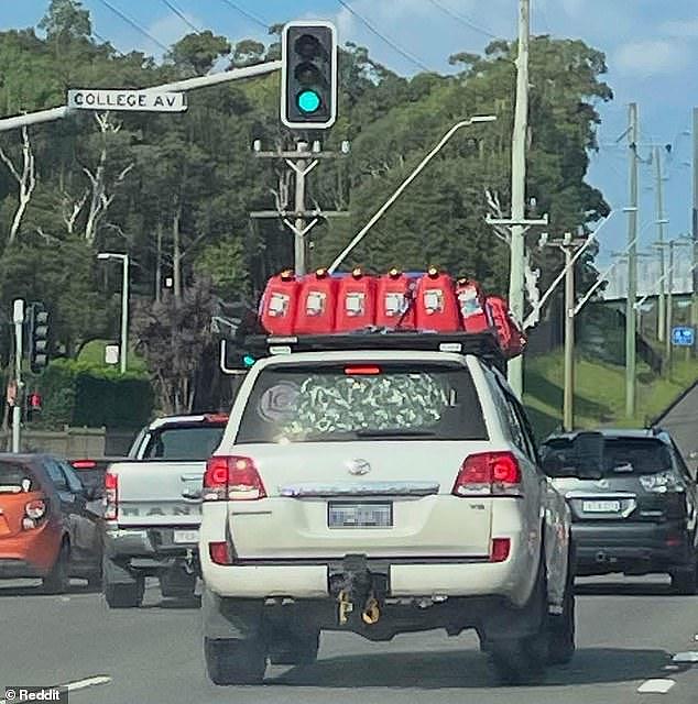 澳洲多地掀起抢油潮，Bunnings油桶被搬空！专家疾呼：没必要（组图） - 2