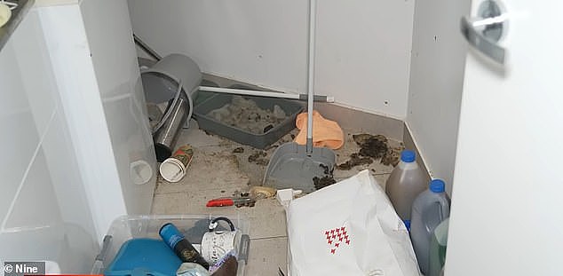 澳房东遭噩梦租客“霸屋”1年！满地蛆虫粪便，损失$2.5万（组图） - 2