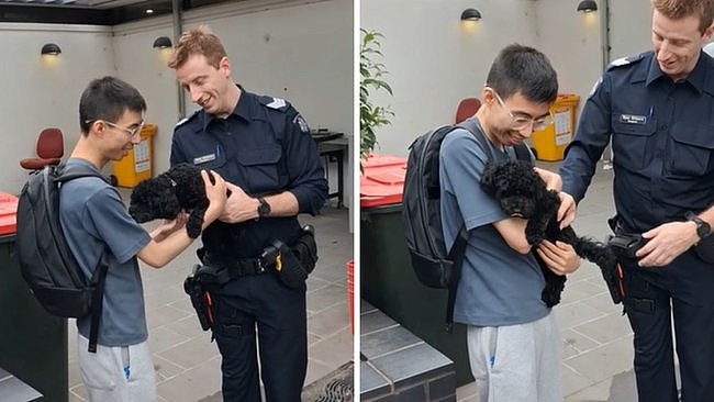 澳洲华人爱犬购物中心外被偷，警方跨区30公里追回，拘捕19岁女子（组图） - 2