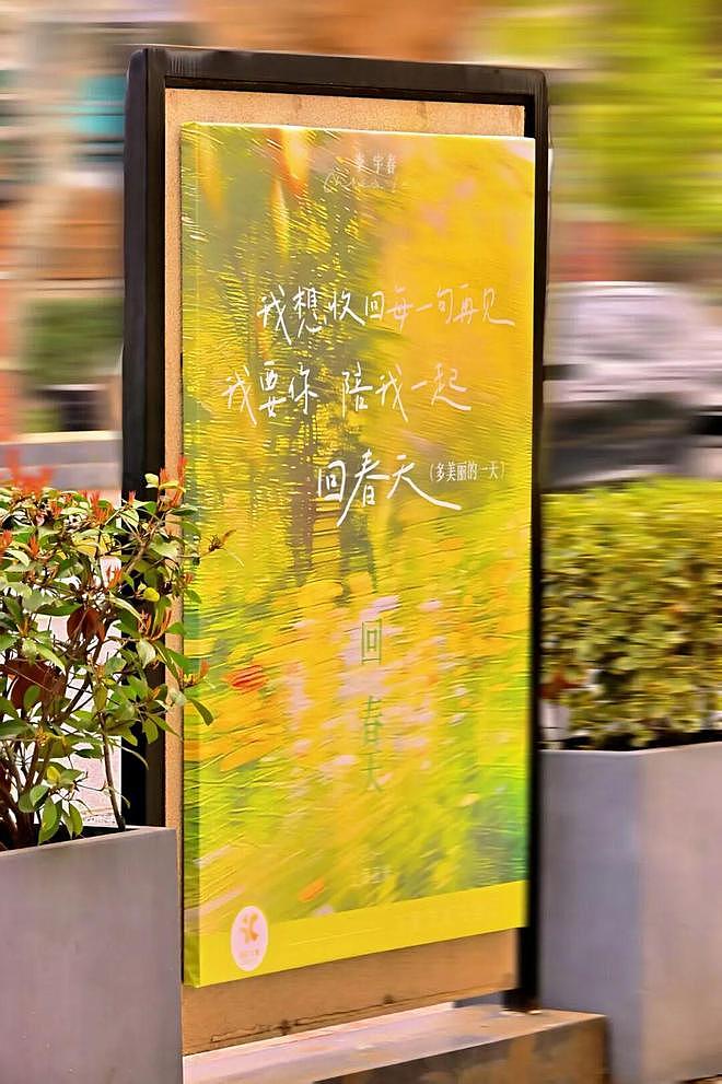 上海人最近太爽了吧!出门偶遇明星像开盲盒!周冠宇回家,胡彦斌野餐...这也太顶了(组图) - 10