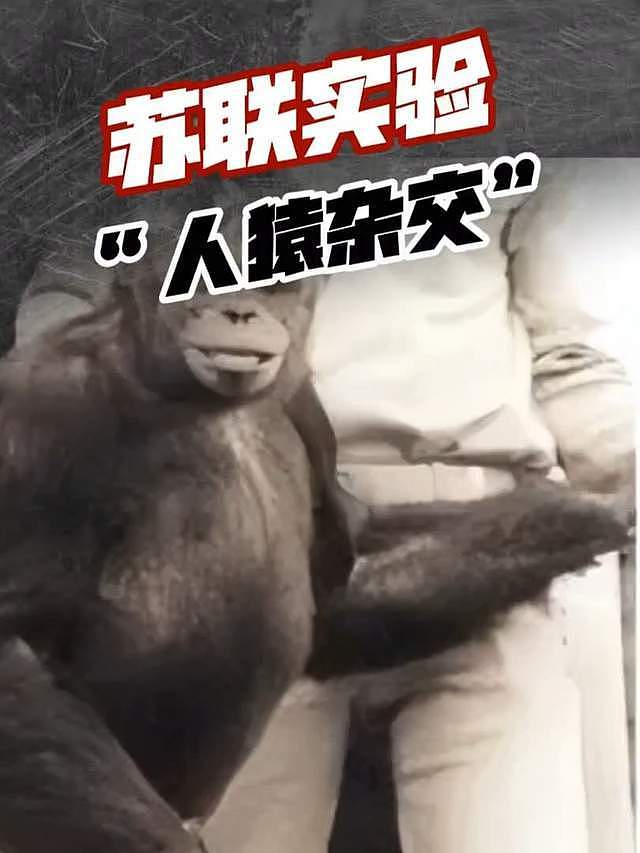 苏联“人猿杂交”实验：5名女孩与11只猩猩参与，结局如何？（组图） - 9
