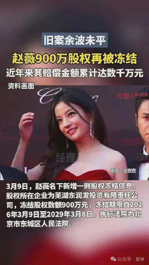 赵薇900万股权又冻结，小燕子毁于前夫？（组图） - 1
