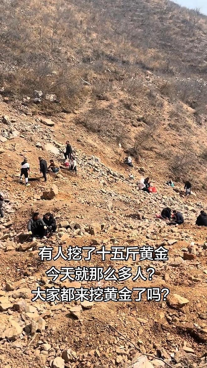 河南新密“山坡免费挖玉”爆火，还有人挖到15斤黄金？（组图） - 1