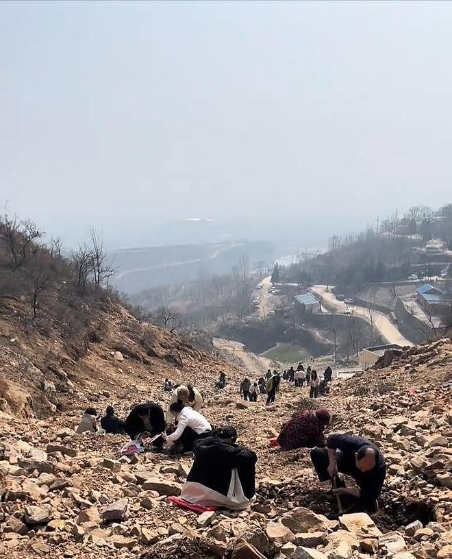 河南新密“山坡免费挖玉”爆火，还有人挖到15斤黄金？（组图） - 3