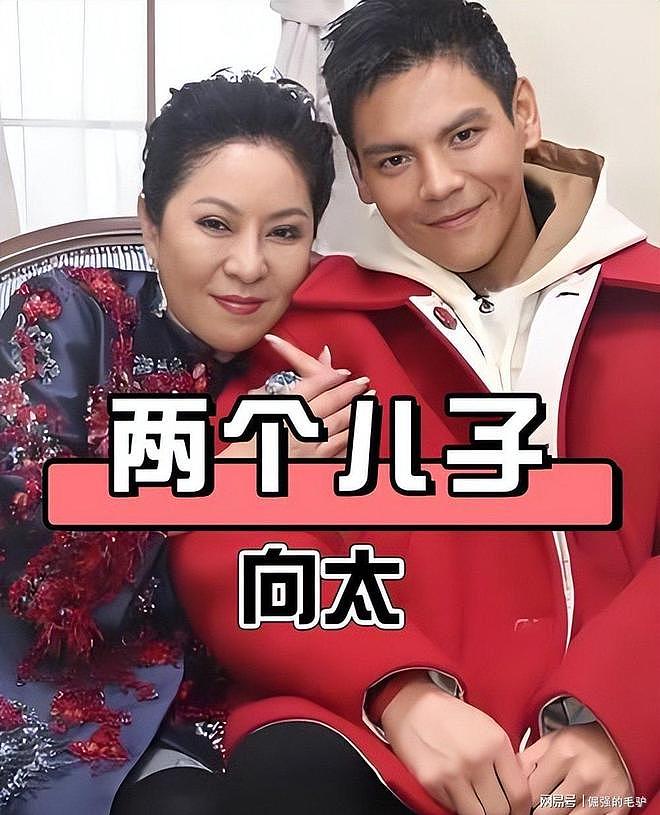 向华强公开指责小儿子向佑专门结交猪朋狗友，守着金山去要饭 - 6