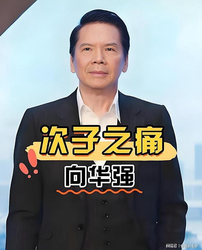 向华强公开指责小儿子向佑专门结交猪朋狗友，守着金山去要饭 - 10