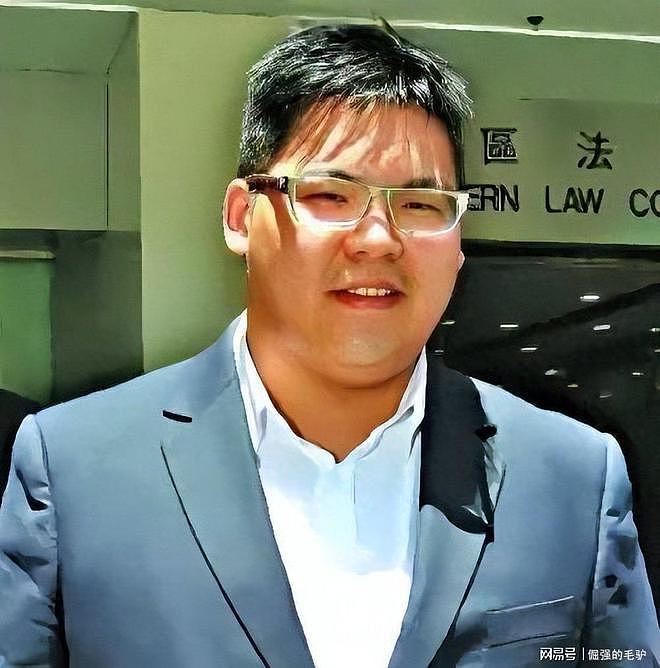 向华强公开指责小儿子向佑专门结交猪朋狗友，守着金山去要饭 - 11