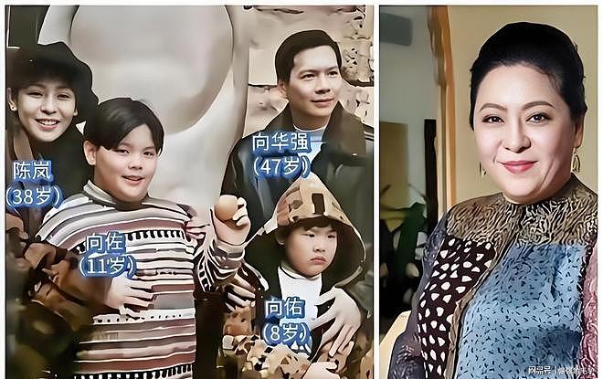 向华强公开指责小儿子向佑专门结交猪朋狗友，守着金山去要饭 - 19