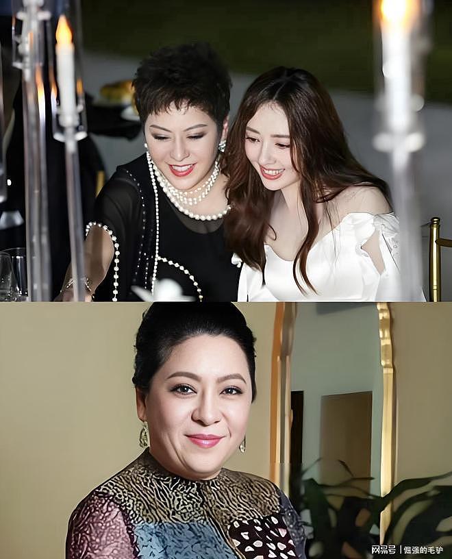 向华强公开指责小儿子向佑专门结交猪朋狗友，守着金山去要饭 - 20