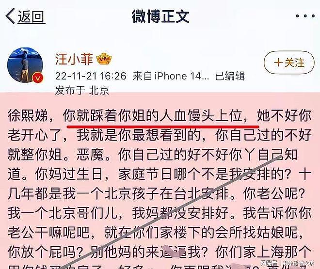 小S老公被曝在上海养小三，已有私生子！传闻持续发酵（组图） - 5